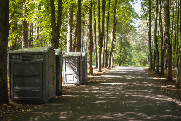 Best Porta potty delivery and setup  in Buhl, MN